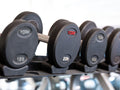 York Barbell Pro-Style Dumbbell Set (105–125 lb, New)